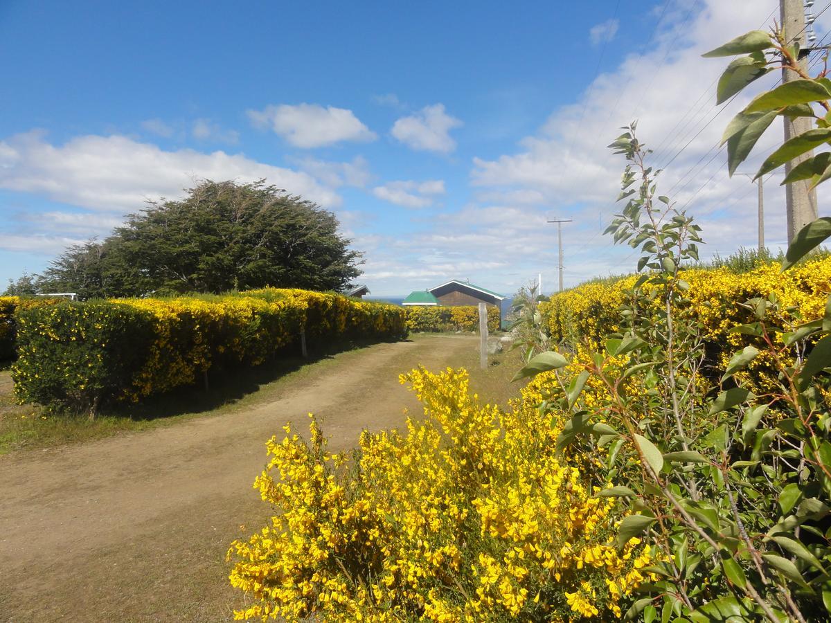 Cabanas Cerro Las Piedras Punta Arenas Exteriör bild