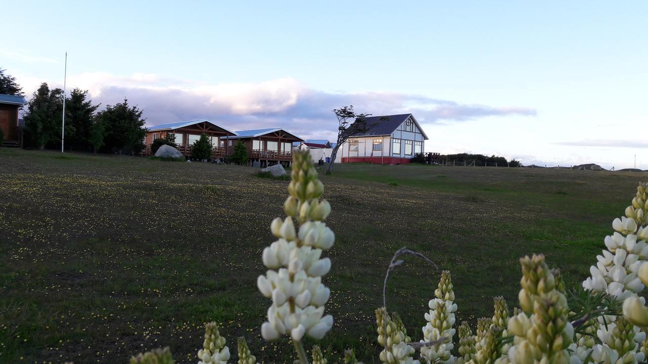 Cabanas Cerro Las Piedras Punta Arenas Exteriör bild